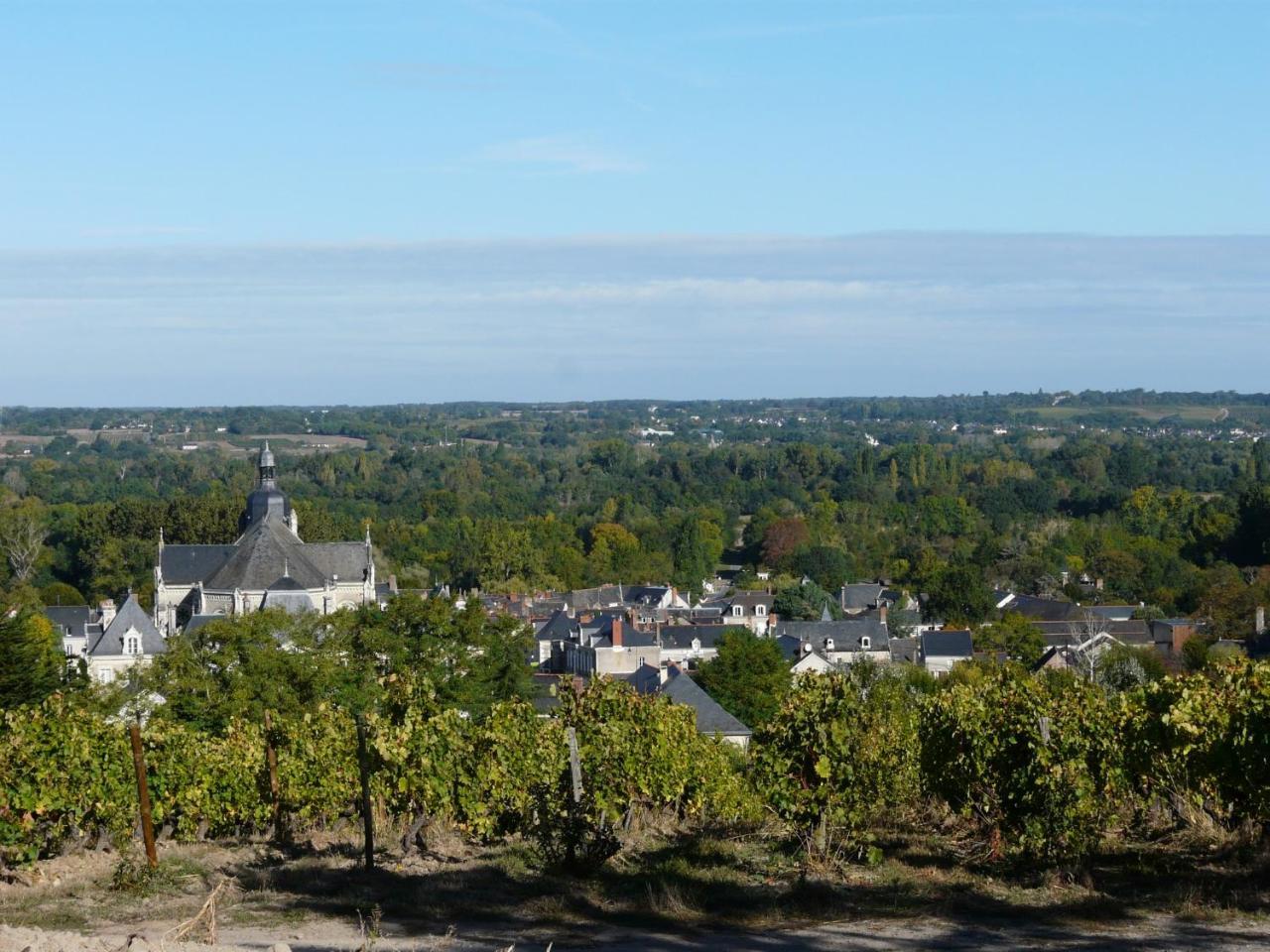 Clos Sainte Catherine Rochefort-sur-Loire Zewnętrze zdjęcie