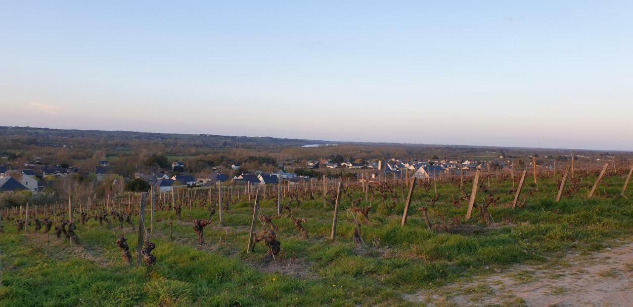 Clos Sainte Catherine Rochefort-sur-Loire Zewnętrze zdjęcie